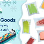 Frozen Goods Shipping Philippines Frozen Goods Shipping Philippines